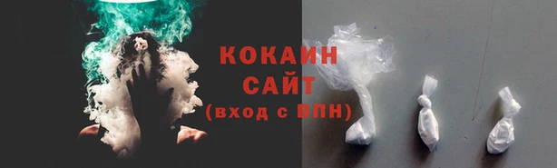 тгк Ладушкин
