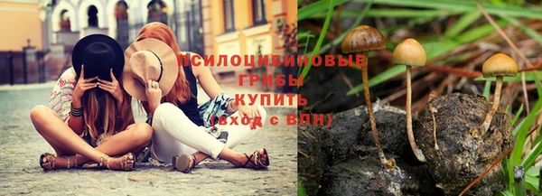 первитин Лагань
