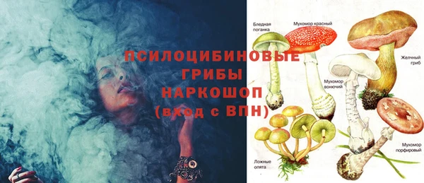 тгк Ладушкин