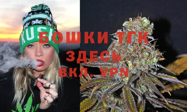 тгк Ладушкин