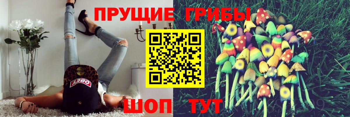 Урюпинск  Псилоцибиновые грибы мухоморы  Вход с VPN 